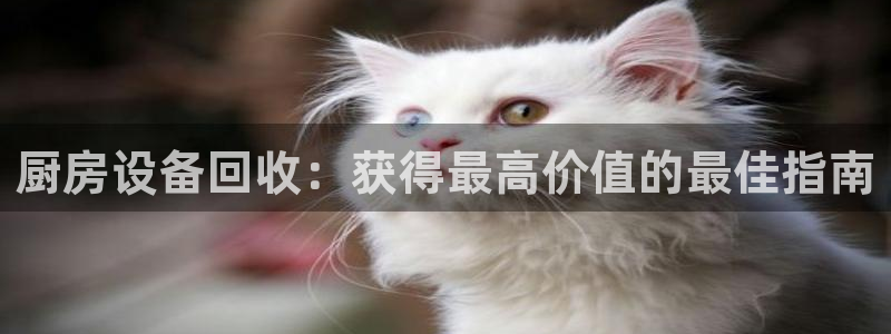尊龙凯时电竞注册：厨房设备回收：获得最高价值的最佳指南