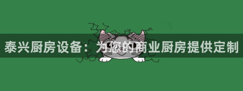 尊龙凯时有限公司：泰兴厨房设备：为您的商业厨房提供定制