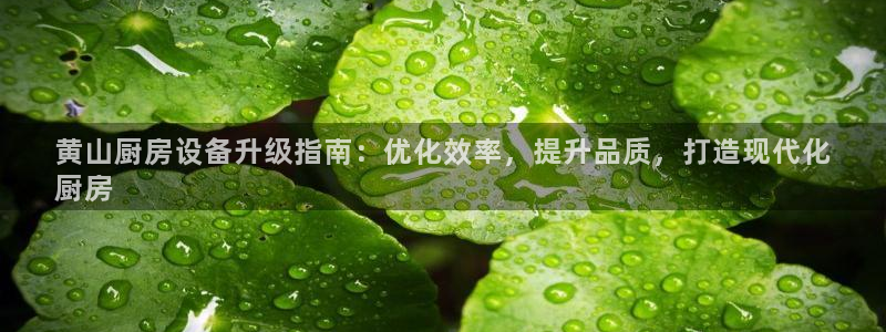 尊龙凯时官网登录入口：黄山厨房设备升级指南：优化效率，提升品
