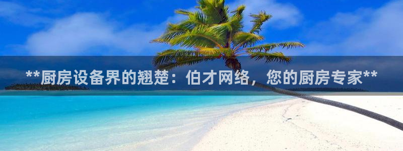 尊龙-人生就是博：**厨房设备界的翘楚：伯才网络，您的厨房专