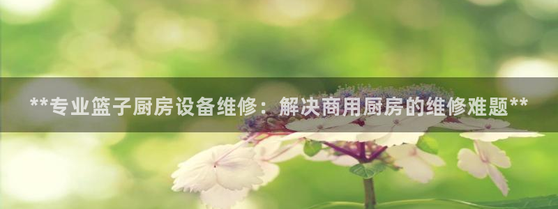尊龙am i blue：**专业篮子厨房设备维修：解决商用厨