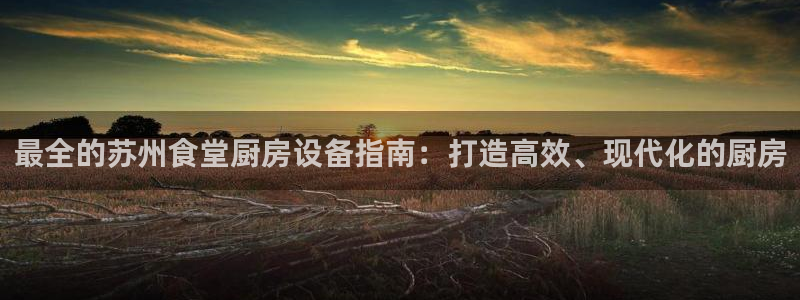 尊龙官网地址：最全的苏州食堂厨房设备指南：打造高效、现代化的