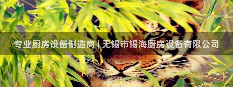 尊龙am i blue：专业厨房设备制造商 | 无锡市锡海厨