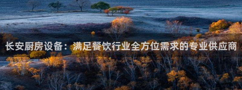 尊龙人生就是博用现金玩一下：长安厨房设备：满足餐饮行业全方位