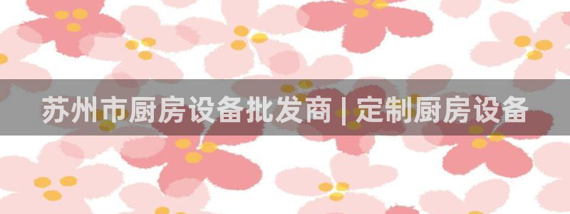 尊龙凯时电竞注册：苏州市厨房设备批发商 | 定制厨房设备
