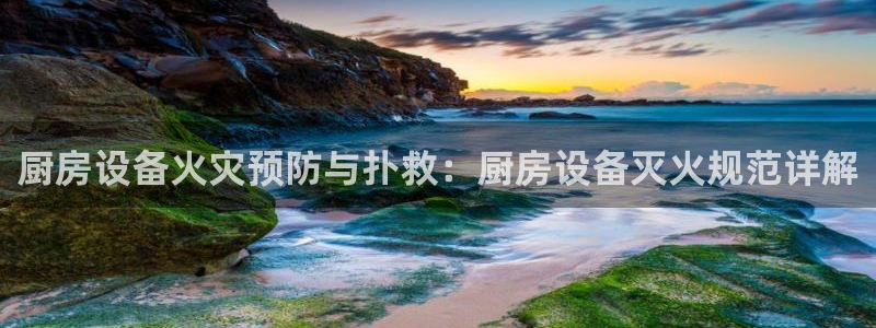 尊龙d88平台：厨房设备火灾预防与扑救：厨房设备灭火规范详解