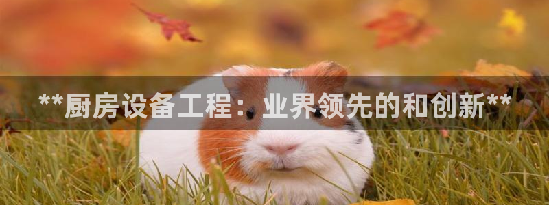 尊龙凯时下载链接：**厨房设备工程：业界领先的和创新**
