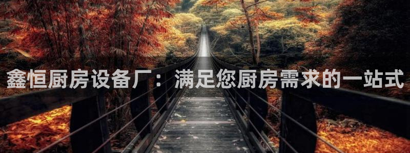 尊龙官网手机版下载：鑫恒厨房设备厂：满足您厨房需求的一站式