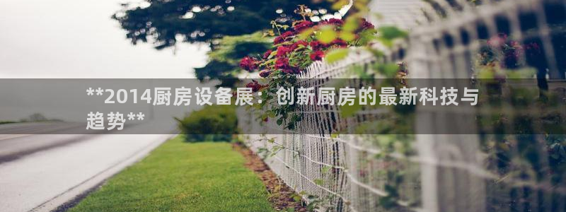 尊龙凯时官方网页：**2014厨房设备展：创新厨房的最新科技