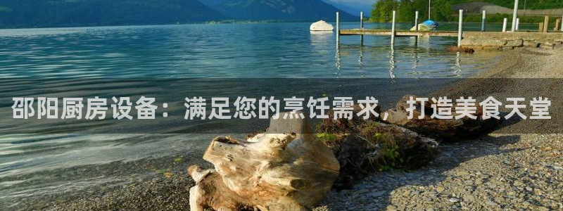 下载尊龙：邵阳厨房设备：满足您的烹饪需求，打造美食天堂