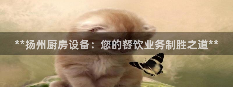 尊龙凯时导航菜单首页：**扬州厨房设备：您的餐饮业务制胜之道