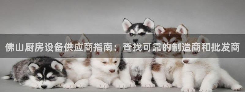 尊龙凯时合法吗?：佛山厨房设备供应商指南：查找可靠的制造商和