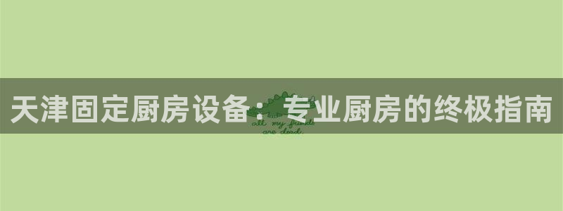 尊龙平台有谁玩过：天津固定厨房设备：专业厨房的终极指南