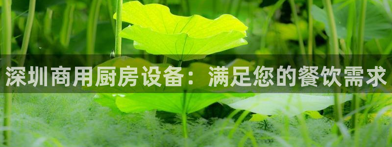 尊龙d88现金关注ag发财网：深圳商用厨房设备：满足您的餐饮