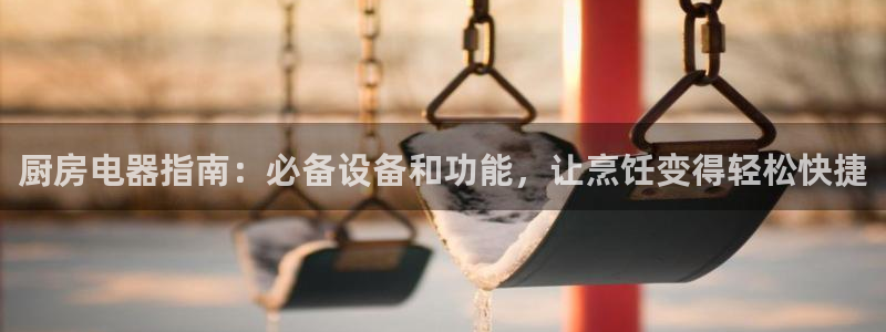 尊龙新版App下载：厨房电器指南：必备设备和功能，让烹饪变得