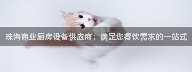 尊龙d88手机app免费下载：珠海商业厨房设备供应商：满足您