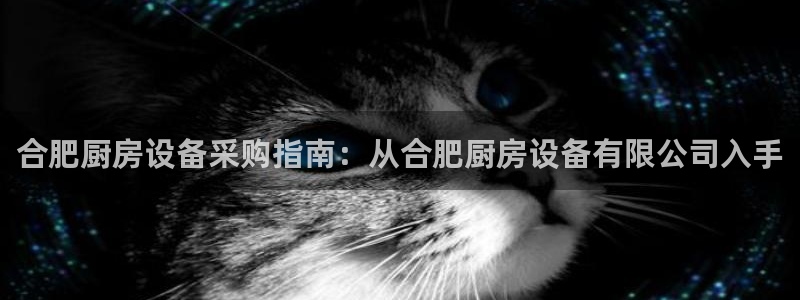 尊龙凯时 - 人生就是搏!：合肥厨房设备采购指南：从合肥厨房
