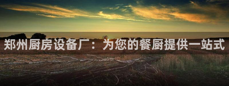 尊龙Ag：郑州厨房设备厂：为您的餐厨提供一站式