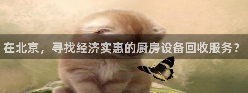尊龙凯时z6官网：在北京，寻找经济实惠的厨房设备回收服务？