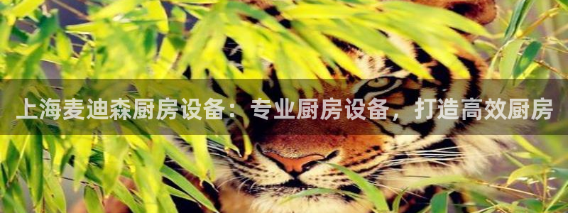 尊龙凯时防屏蔽网址：上海麦迪森厨房设备：专业厨房设备，打造高