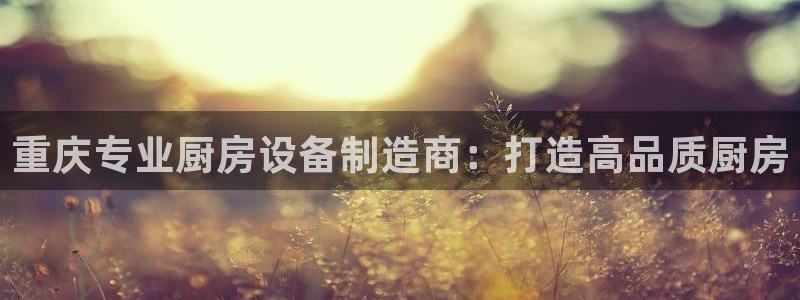 尊龙人生就是博登录准认来就送38：重庆专业厨房设备制造商：打