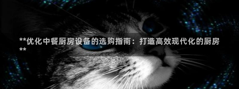 凯时ag旗舰厅网址是什么：**优化中餐厨房设备的选购指南：打