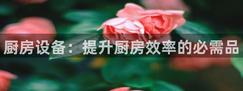 凯时官网手机版首页：厨房设备：提升厨房效率的必需品