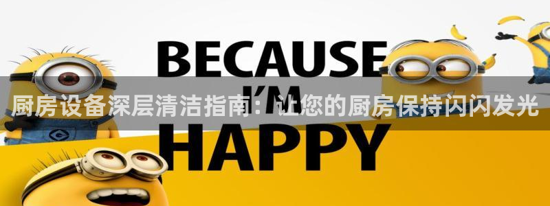 凯时首页地址：厨房设备深层清洁指南：让您的厨房保持闪闪发光
