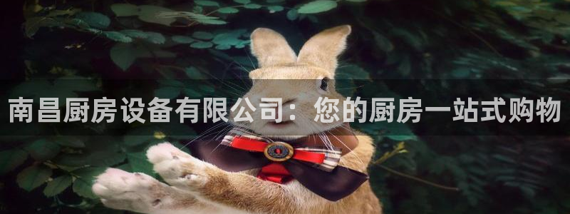 尊龙凯时人生就博官网登录：南昌厨房设备有限公司：您的厨房一站