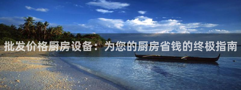 尊龙ag旗舰厅登陆：批发价格厨房设备：为您的厨房省钱的终极指