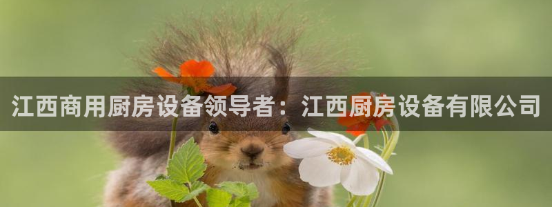 尊龙凯时电竞注册：江西商用厨房设备领导者：江西厨房设备有限公
