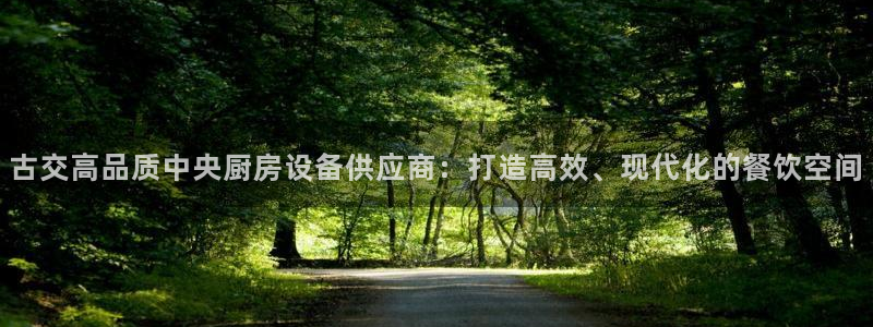 尊龙d88现金旧版本：古交高品质中央厨房设备供应商：打造高效