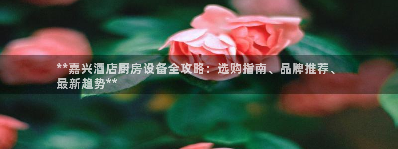 尊龙d88ag官方网站：**嘉兴酒店厨房设备全攻略：选购指南
