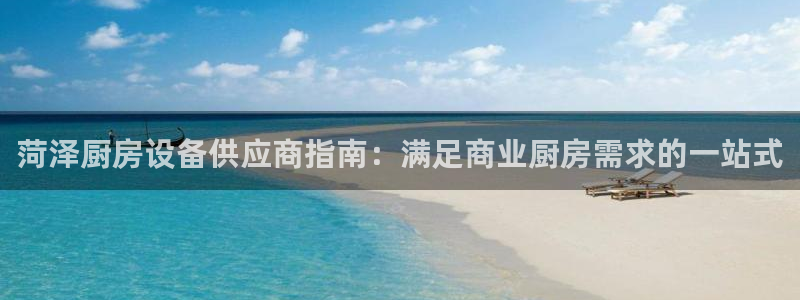 尊龙人生就是博ag：菏泽厨房设备供应商指南：满足商业厨房需求