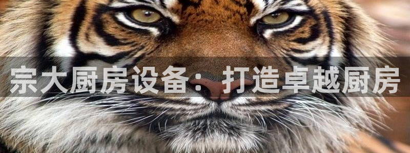 尊龙d88官网QU来就送38：宗大厨房设备：打造卓越厨房