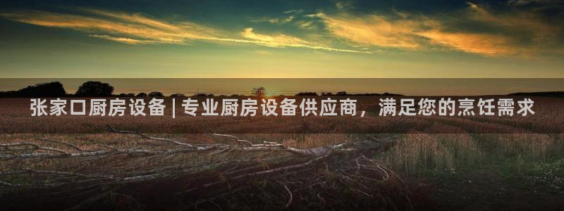 尊龙ag旗舰厅官网·(中国)官方入口：张家口厨房设备 | 专