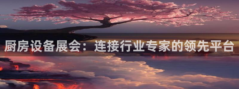 尊龙网址是选访问zd207：厨房设备展会：连接行业专家的领先