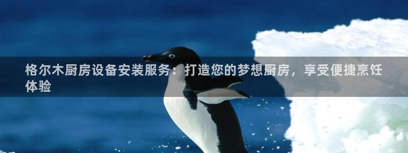 z6com尊龙凯时百家乐下载：格尔木厨房设备安装服务：打造您