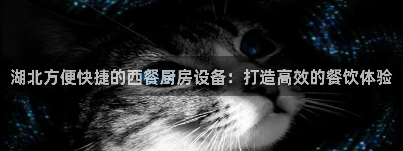 尊龙百度百科：湖北方便快捷的西餐厨房设备：打造高效的餐饮体验