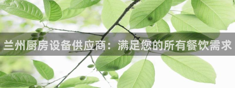 尊龙网站人生就是博：兰州厨房设备供应商：满足您的所有餐饮需求