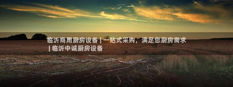 尊龙官网网站：临沂商用厨房设备 | 一站式采购，满足您厨房需