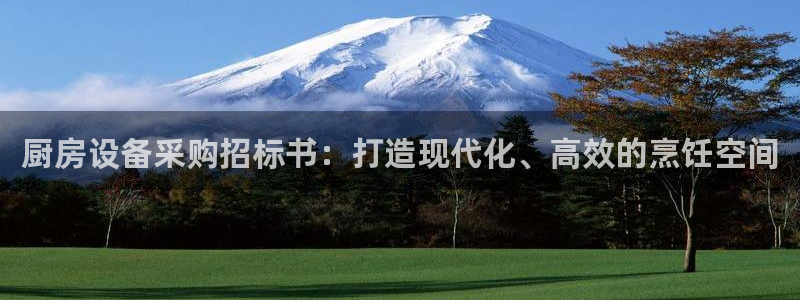 下载凯时AG旗舰厅首页：厨房设备采购招标书：打造现代化、高效