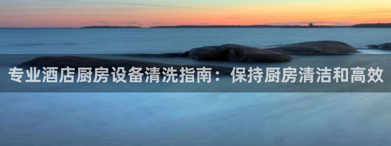 尊龙体育电竞官网：专业酒店厨房设备清洗指南：保持厨房清洁和高