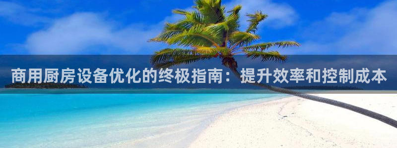 尊龙新版app：商用厨房设备优化的终极指南：提升效率和控制成
