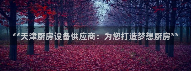 最新凯时官网网址：**天津厨房设备供应商：为您打造梦想厨房*