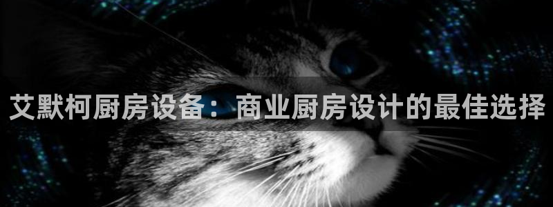 尊龙凯时的生产设备：艾默柯厨房设备：商业厨房设计的最佳选择