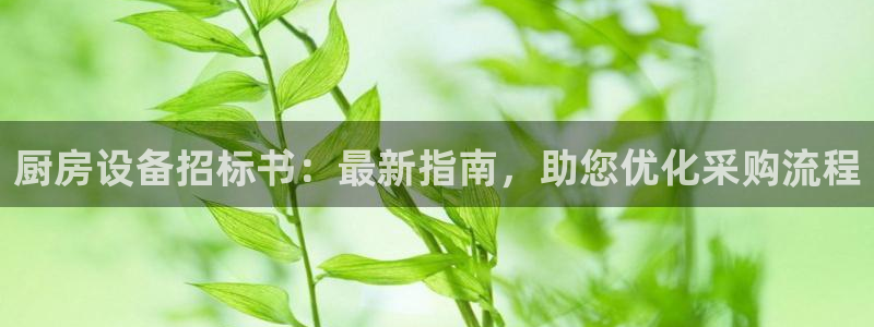 尊龙人生就是博一下阿扎尔：厨房设备招标书：最新指南，助您优化
