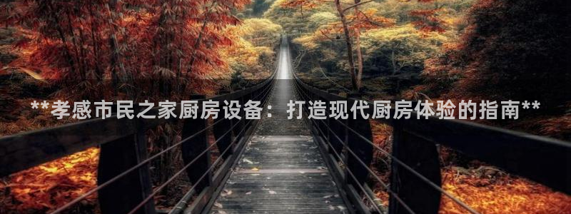 尊龙登录首页：**孝感市民之家厨房设备：打造现代厨房体验的指
