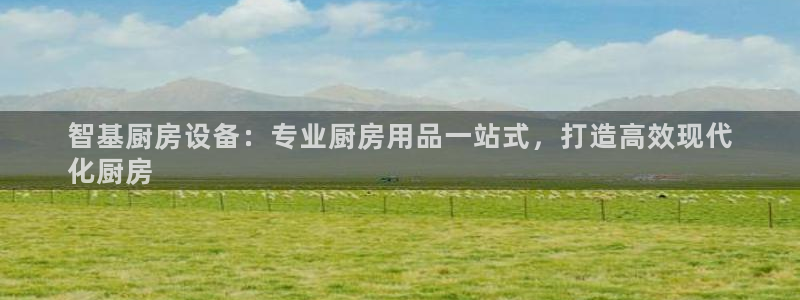 尊龙AG旗舰店：智基厨房设备：专业厨房用品一站式，打造高效现