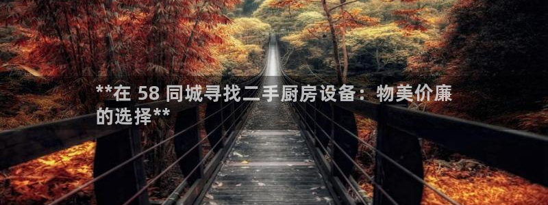 尊龙凯时这个平台怎么样：**在 58 同城寻找二手厨房设备：
